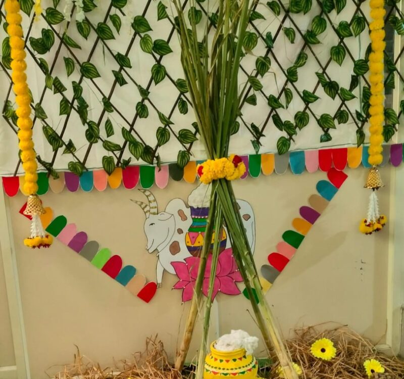 WhatsApp Image 2026-03-17 at 11.02.42